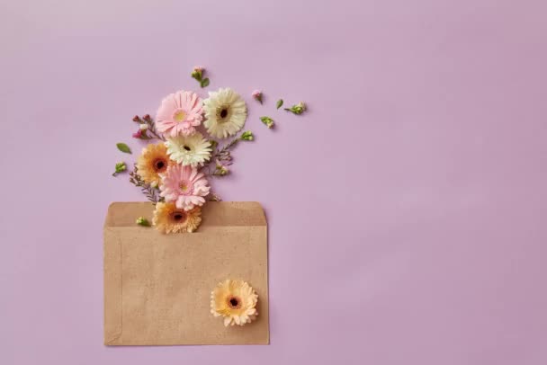 Envelope Vintage Flores Gerbera Fundo Roxo Vídeo — Vídeo de Stock