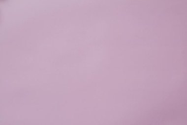 gerbera çiçekleri mor arka plan, video dizi