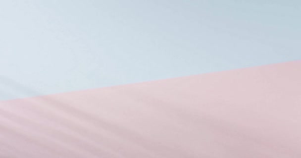 Пальмовая Ветка Движется Розовом Синем Фоне Скопировать Пространство Тропические Зелёные — стоковое видео