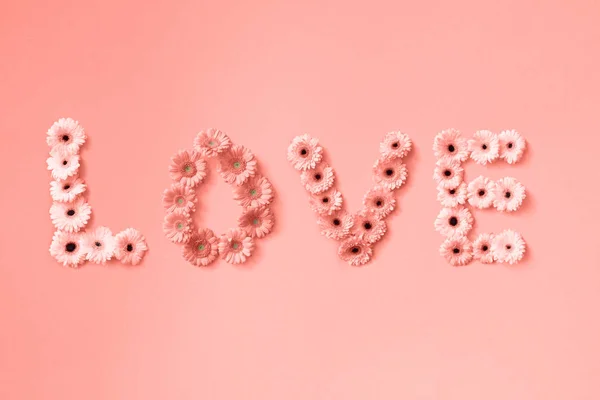 Kreative Postkarte Aus Blumen Gerbera Form Des Wortes Liebe Auf — Stockfoto