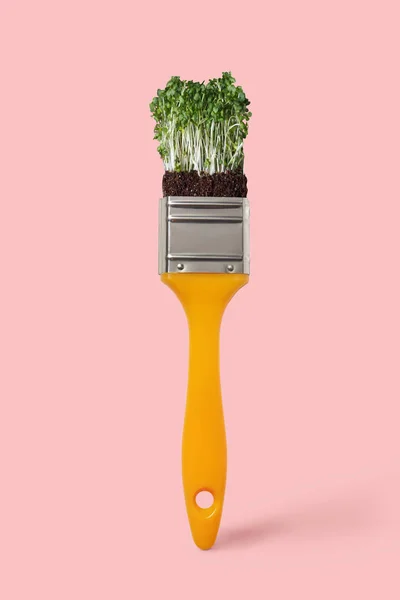 Cepillo Creativo Con Microverde Orgánico Fresco Vegetal Sobre Fondo Color —  Fotos de Stock