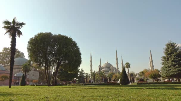 Ludzi Parku Pobliżu Błękitnego Meczetu Istanbul Turcja — Wideo stockowe