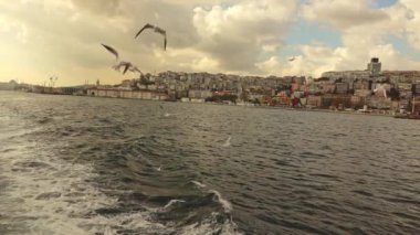 Boğaziçi, Istanbul, Türkiye, video, su yolu üzerinde yavaş uçan martılar 