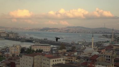panoramik Istanbul güzel cityscape günbatımı gökyüzü, Türkiye'de uçan martı ile. Video