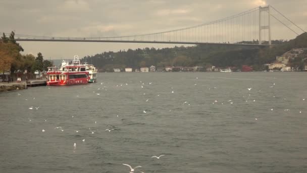 Vue Panoramique Sur Magnifique Paysage Urbain Istanbul Détroit Bosphore Coucher — Video