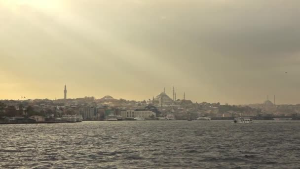 Pemandangan Panorama Kota Indah Istanbul Dengan Burung Camar Terbang Langit — Stok Video
