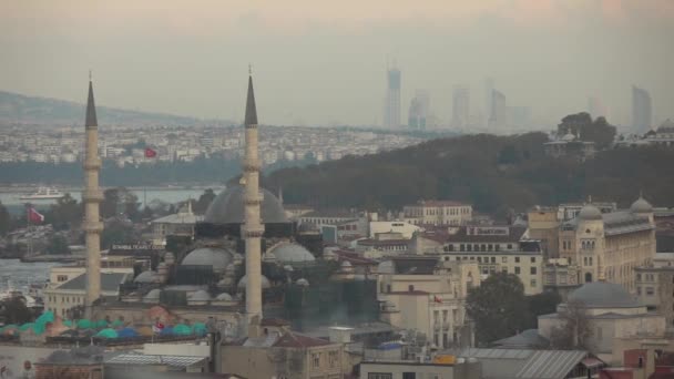 Панорамный Вид Красивый Городской Пейзаж Стамбула Чайкой Летящей Небе Заката — стоковое видео