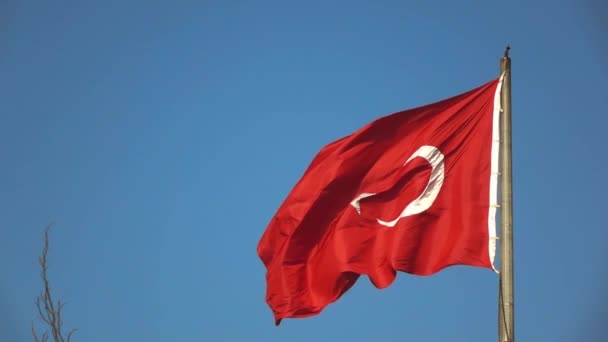 Ondeando Bandera Turquía Contra Cielo Azul Video — Vídeos de Stock