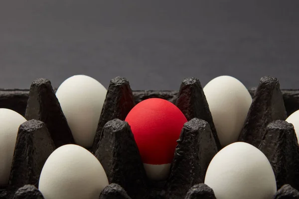 白とテキストのためのスペースと黒の背景に黒の段ボール箱のクローズ アップで塗装 赤卵です イースターのコンセプト — ストック写真