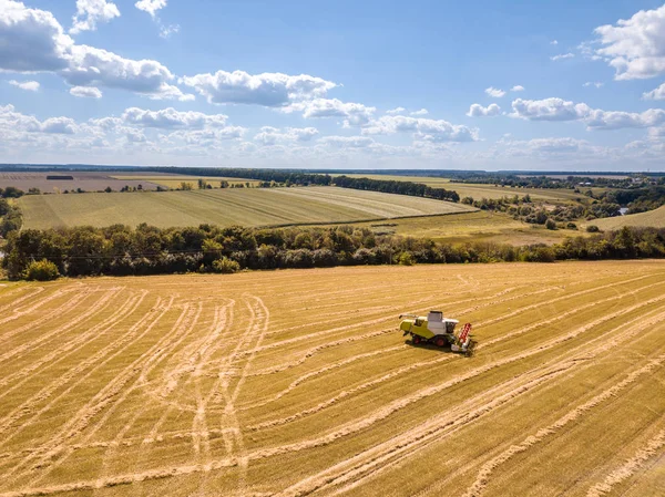 Aerial View Drone Harvest Wheat Crops Agricultural Combines Sunny Summer — Stock Photo, Image