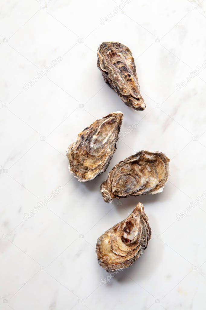 Fresh raw natural oysters on a marble background with place for text. Flat lay. Healthy seafood.