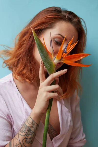 Woman Tattoo Holding Exotic Orange Flower Strelitz Hands Blue Background — Stock Photo, Image