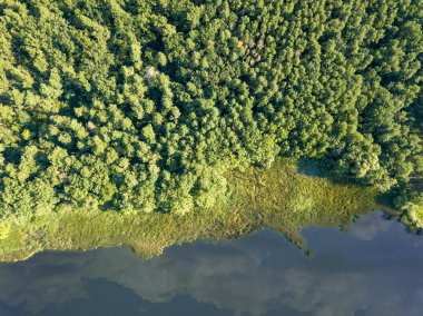 Yaz gününde bulutlar ve yaprak döken ormanın yansıması ile nehir. Drone hava görünümü