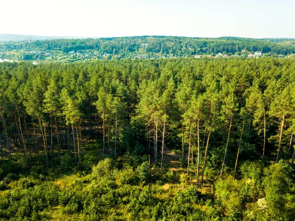 Вид Воздуха Беспилотника Ландшафт Хвойного Леса Деревню Вдали Неба — стоковое фото