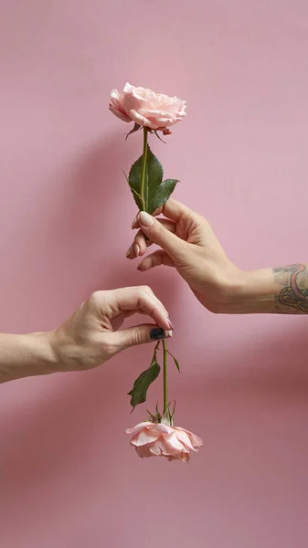 Mãos Das Mulheres Estão Segurando Rosas Para Cima Para Baixo — Fotografia de Stock