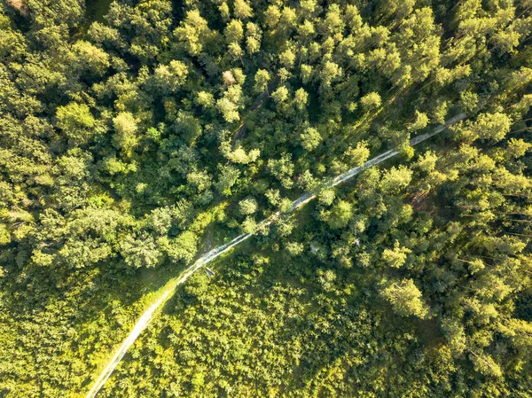 Dirt Road Passing Green Forest Clear Summer Day Aerial View — Stock Photo, Image