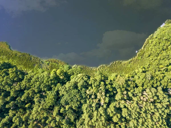 Hermosa Vista Aérea Del Dron Río Bosque Verde Día Soleado —  Fotos de Stock