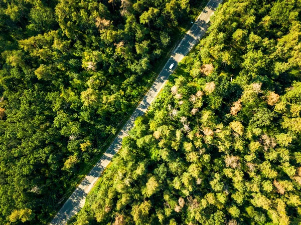 Laubgrüner Wald Mit Asphaltierter Straße Sonnigen Tagen Natürlicher Schöner Hintergrund — Stockfoto