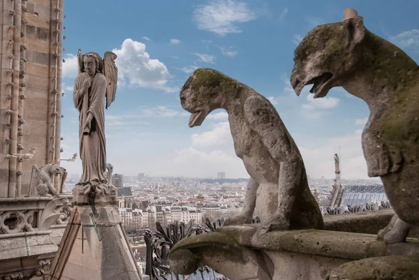 Arka Planda Paris Şehri Ile Taş Iblisleri Gargoyle Chimera Notre — Stok fotoğraf