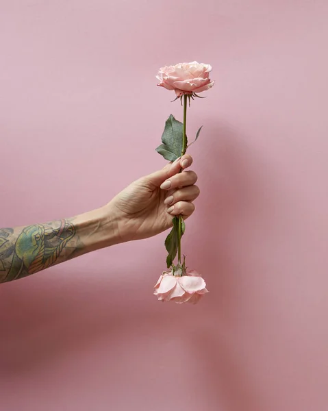 Egy Lány Keze Egy Tetoválás Tart Virágot Rózsa Egy Rózsaszín — Stock Fotó