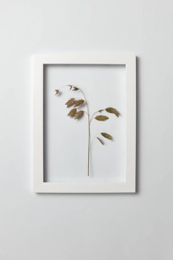 Açık gri arka plan üzerinde regtangular çerçeve içinde doğal yeşil yaprakları dallı bitkisel resim, kopya alanı. Düz yatıyordu. Tebrik kartı.