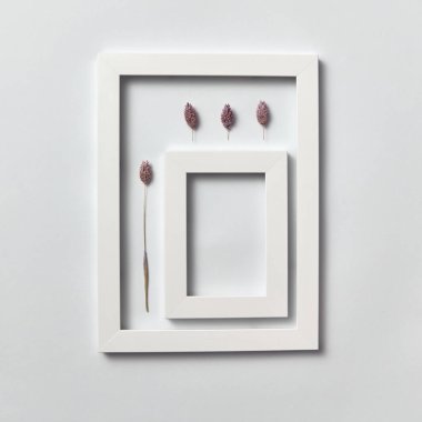 Açık gri bir arka plan üzerinde metin için çam kozalağı ve dikdörtgen boş çerçeve organik kompozisyon. Üst te. Tebrik kartpostalı.