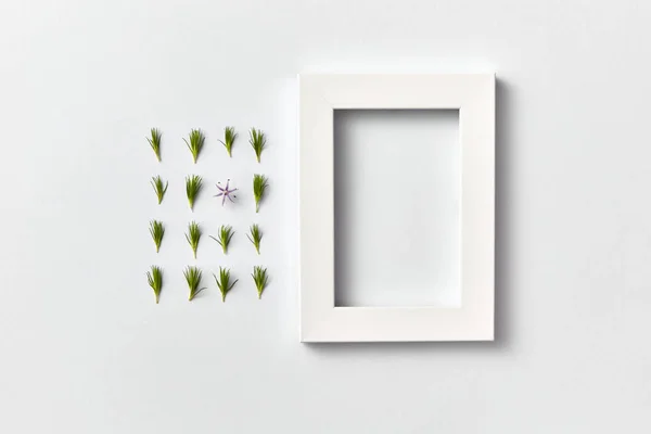 Composición Rectangular Agujas Pino Jóvenes Verdes Una Flor Primaveral Marco — Foto de Stock