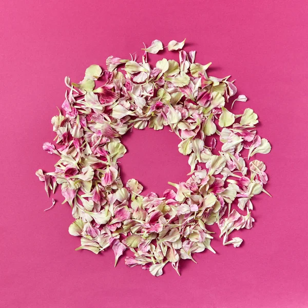 Creatieve Achtergrond Met Rond Bloemen Frame Uit Bloemblaadjes Van Carnation — Stockfoto