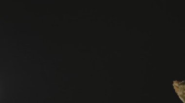  Masaya düşen makarna, İtalyan yemeği konsepti.