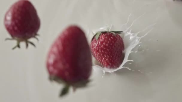 新鲜成熟草莓加牛奶 — 图库视频影像