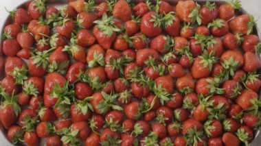 Taze olgun çilek yığını, video. 