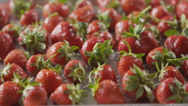 Pile Fraises Fraîches Mûres Vidéo — Video