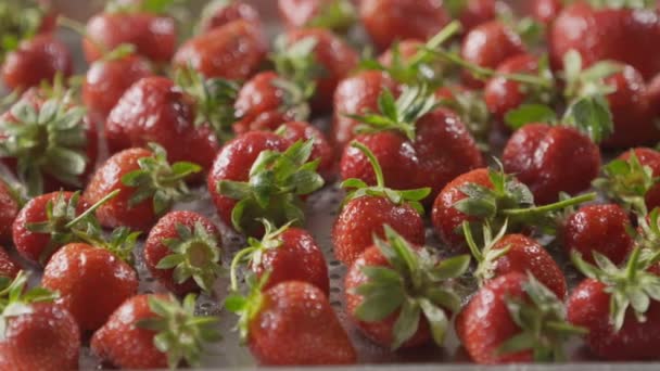 Pile Fraises Fraîches Mûres Vidéo — Video