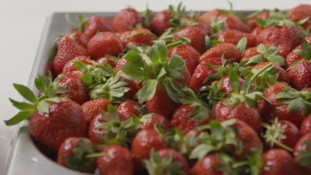 Haufen Frischer Reifer Erdbeeren Video — Stockvideo