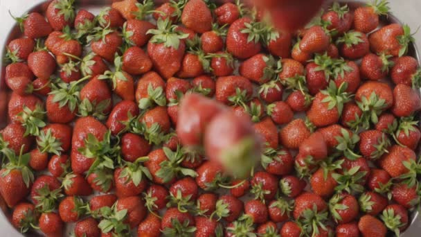 Pila Fresas Frescas Maduras Video — Vídeo de stock