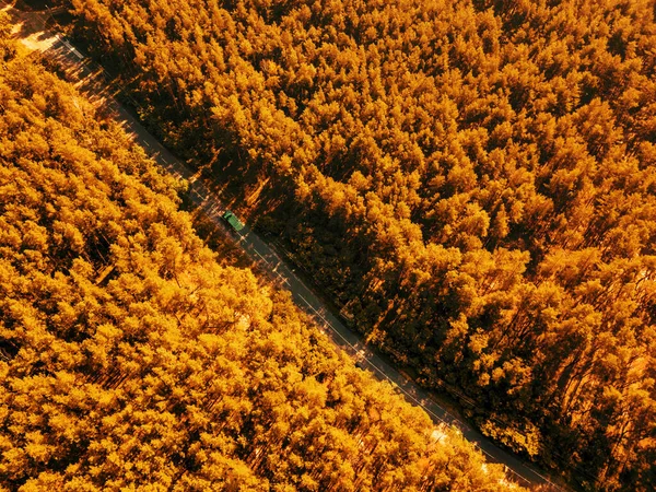 Estrada Com Carro Passando Pela Folhagem Floresta Dia Ensolarado Conceito — Fotografia de Stock