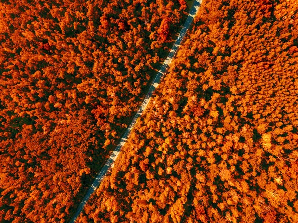 Vista Aérea Dron Bosque Verde Con Carretera Asfalto Día Soleado —  Fotos de Stock