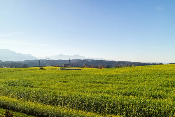 Beautiful Autumn Rural Landscape Green Farm Agricultural Fields Background Clear — Stock Photo, Image