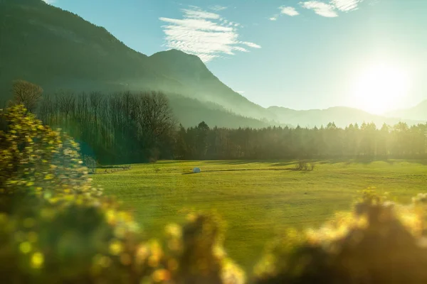 Amazing Light Rural Landscape Mountains Green Fields Blurred Plants Forefront — Stock Photo, Image