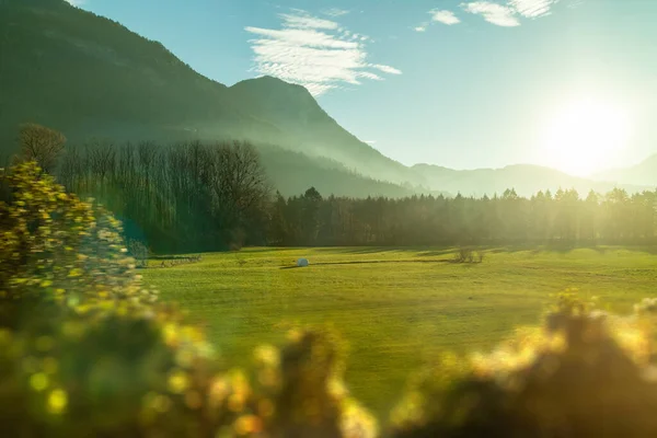 Amazing light rural landscape with mountains green fields and blurred plants on a forefront on a background of clear sunny sky, Austria.