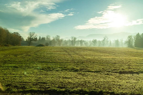 Linda Paisagem Rural Manhã Com Campos Verdes Áreas Árvores Fundo — Fotografia de Stock