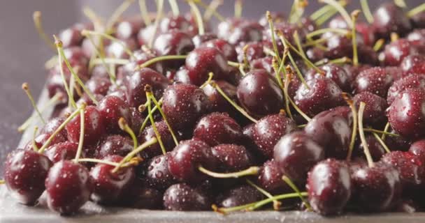 Pila Cerezas Frescas Húmedas Maduras Vídeo — Vídeos de Stock