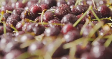 Taze ıslak kiraz yığını, video. 