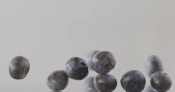 濃い背景に落ちてくる新鮮な熟したブルーベリーと水の山ビデオ — ストック動画