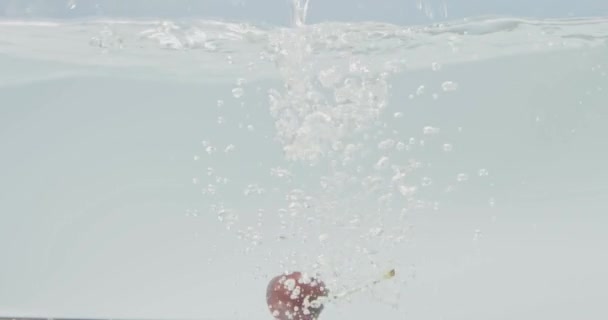 Tournage Vidéo Sous Eau Cerises Douces Flottant Sur Fond Blanc — Video