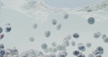 Cam bir kapta beyaz arka planda yüzen tatlı yaban mersinli su altında video çekimi. Yavaş su akışı. Su damlaları ve su altı hava kabarcıkları. Tam HD video, 240fps, 1080p