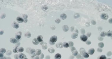 Cam bir kapta beyaz arka planda yüzen tatlı yaban mersinli su altında video çekimi. Yavaş su akışı. Su damlaları ve su altı hava kabarcıkları. Tam HD video, 240fps, 1080p