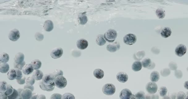 水下拍摄的视频甜蓝莓漂浮在玻璃容器的白色背景上 水流缓慢 水花和水滴以及水下气泡 全高清视频 240 Fps 1080P — 图库视频影像