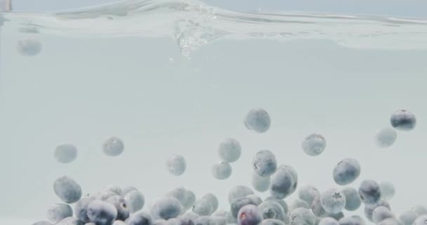 水下拍摄的视频甜蓝莓漂浮在玻璃容器的白色背景上 水流缓慢 水花和水滴以及水下气泡 全高清视频 240 Fps 1080P — 图库视频影像