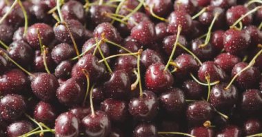 Taze ıslak kiraz yığını, video. 